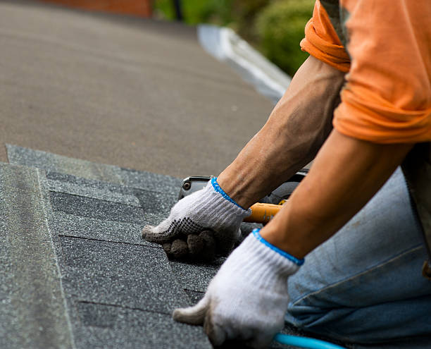 Best Roof Maintenance Services  in Lake Of The Woods, VA