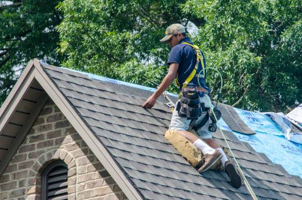 Best Commercial Roofing Services  in Lake Of The Woods, VA